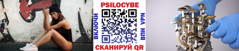 Псилоцибиновые грибы мухоморы  где можно купить   omg как войти  Вилючинск 